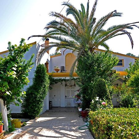 Villa Elena Studios Dassia  Exterior photo